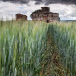 tuscan_storm_-_low_res.jpg